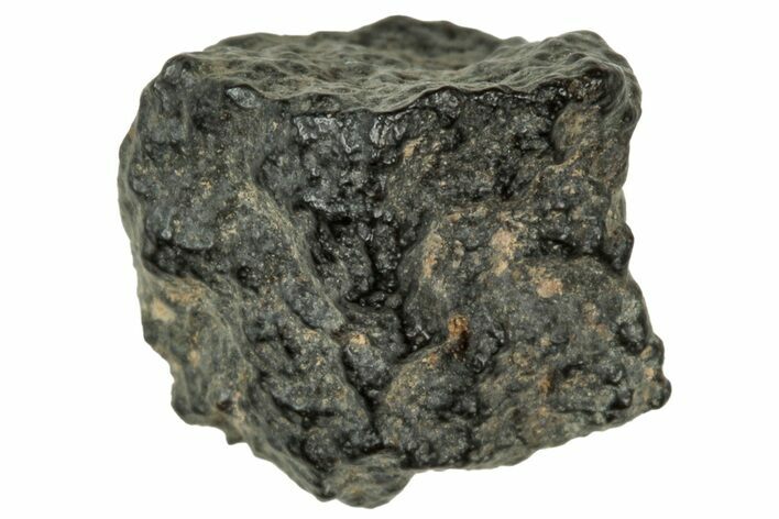 Abadla CM Chondrite Meteorite ( g) - Algeria #313041